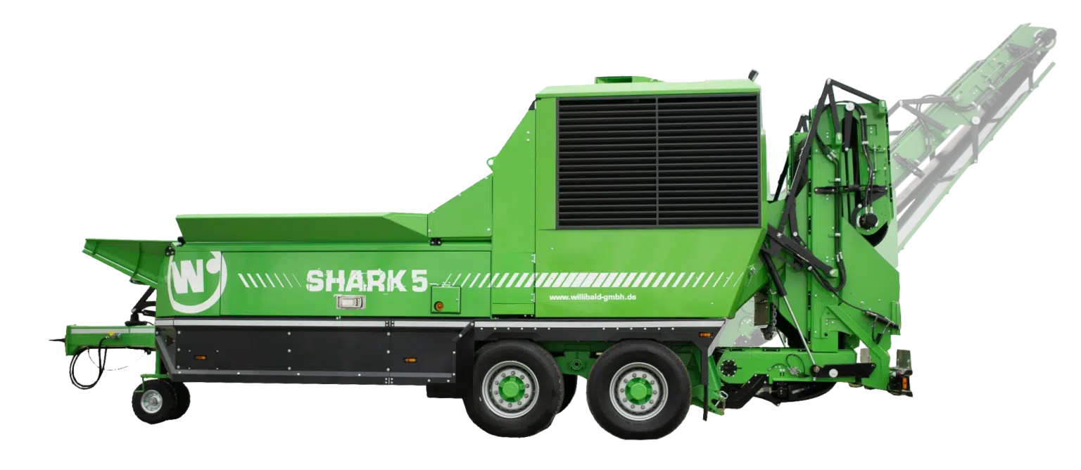 Shark